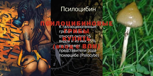 гидропоника Арсеньев